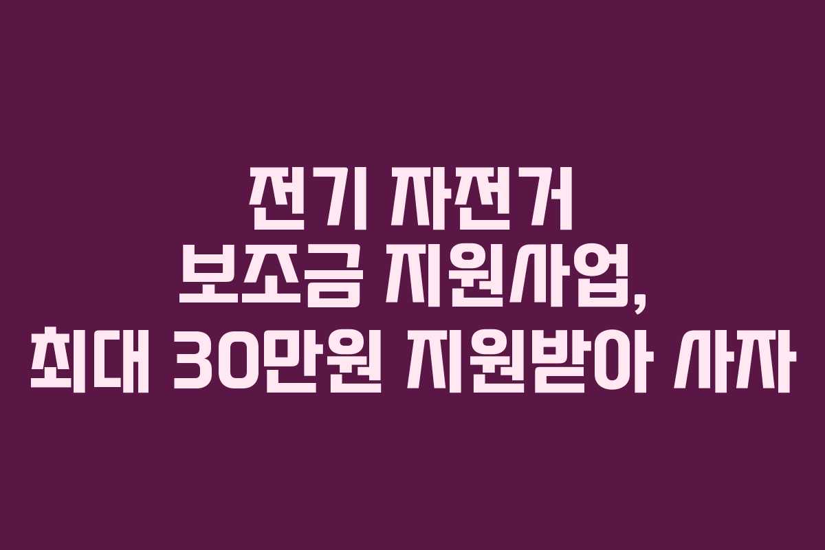 전기 자전거 보조금 지원사업, 최대 30만원 지원받아 사자