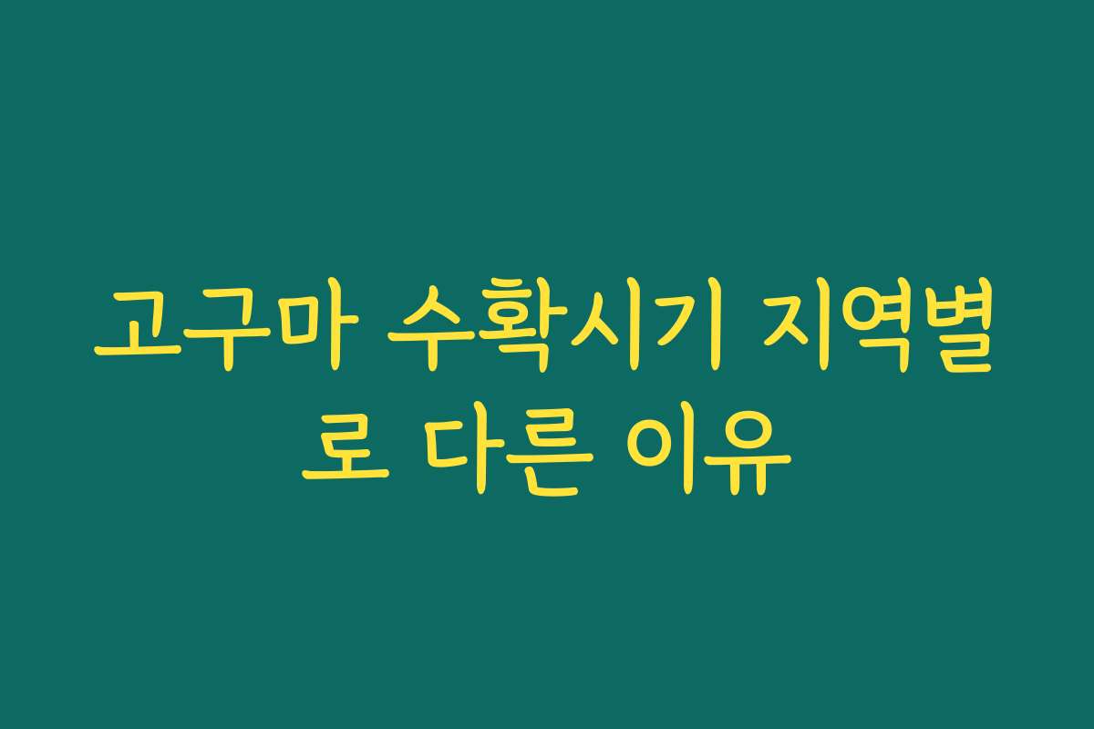 고구마 수확시기 지역별로 다른 이유